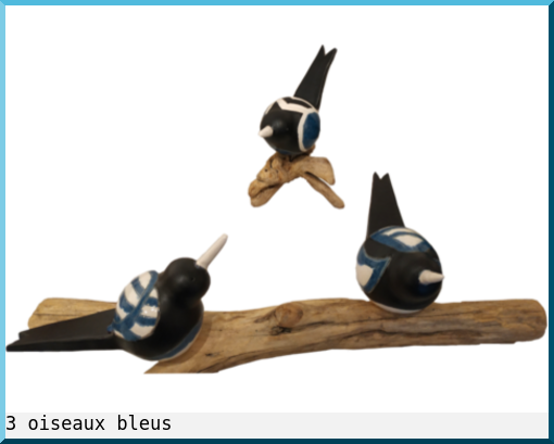 3 oiseaux bleus