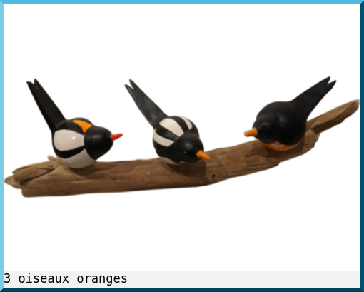 3 oiseaux oranges