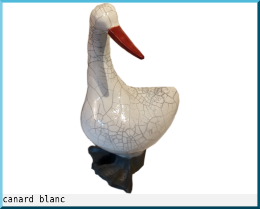 canard blanc