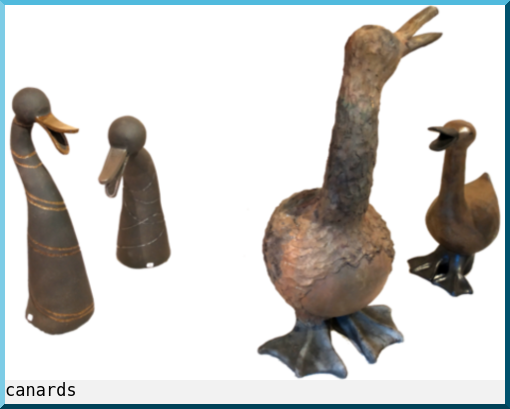 canards