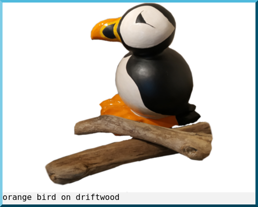 orange bird on driftwood