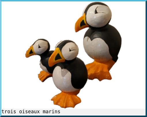 trois oiseaux marins